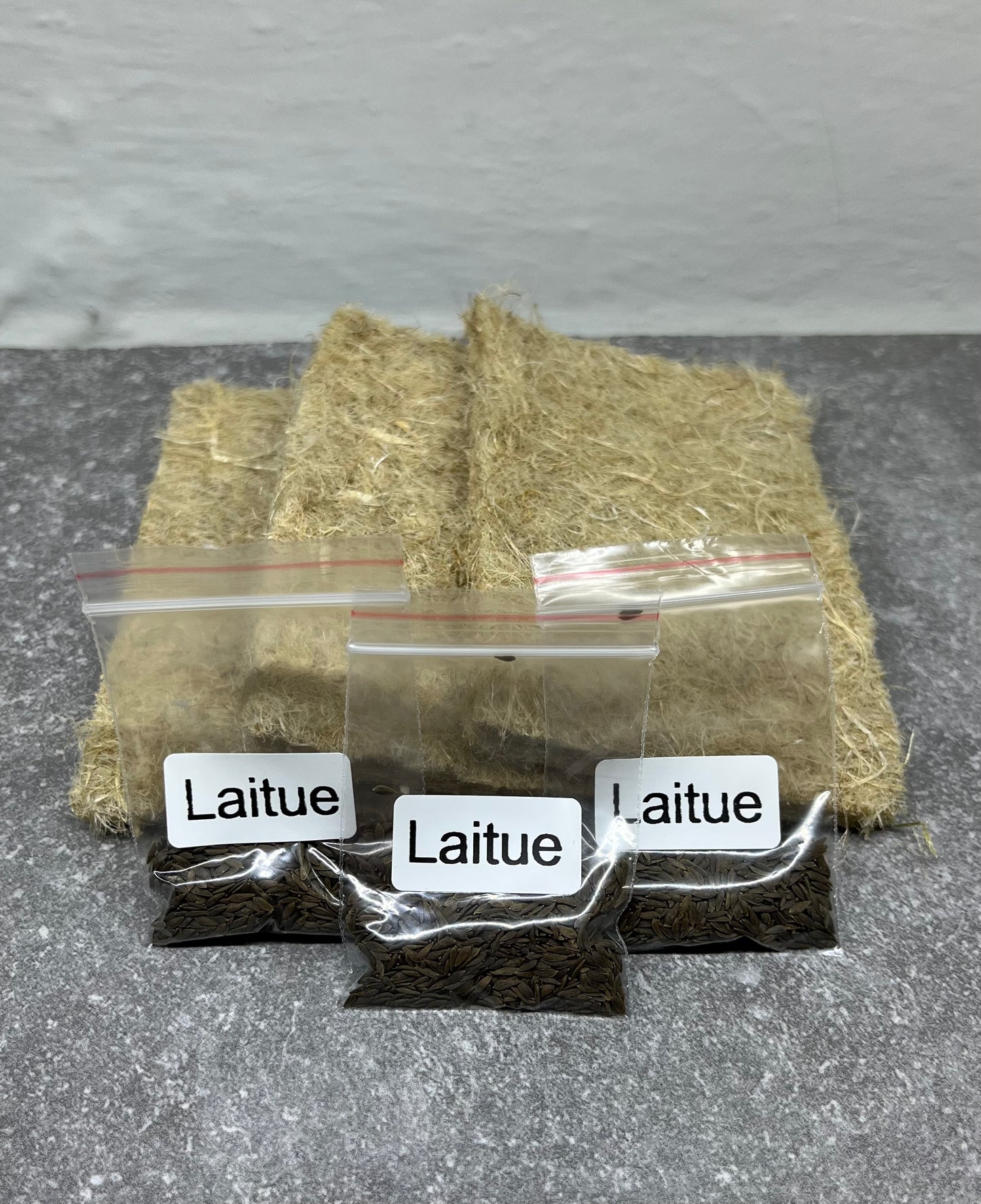 Recharge graines de micropousses de laitue + tapis de culture