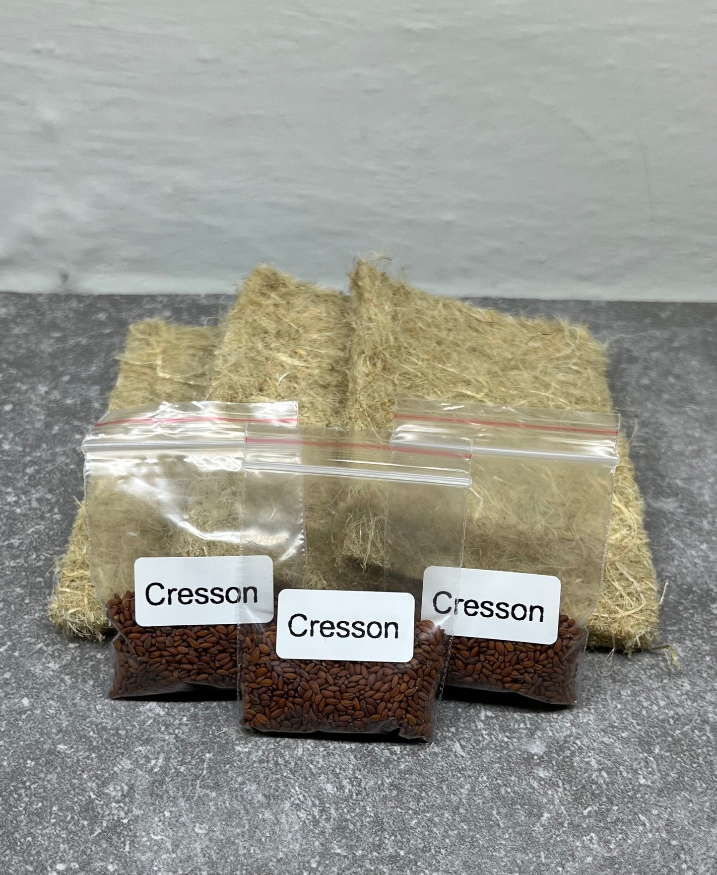 Recharge graines de micropousses de cresson + tapis de culture