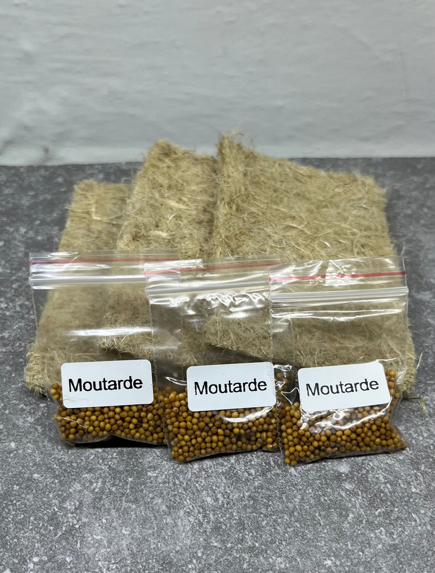 Recharge graines de micropousses de moutarde + tapis de culture