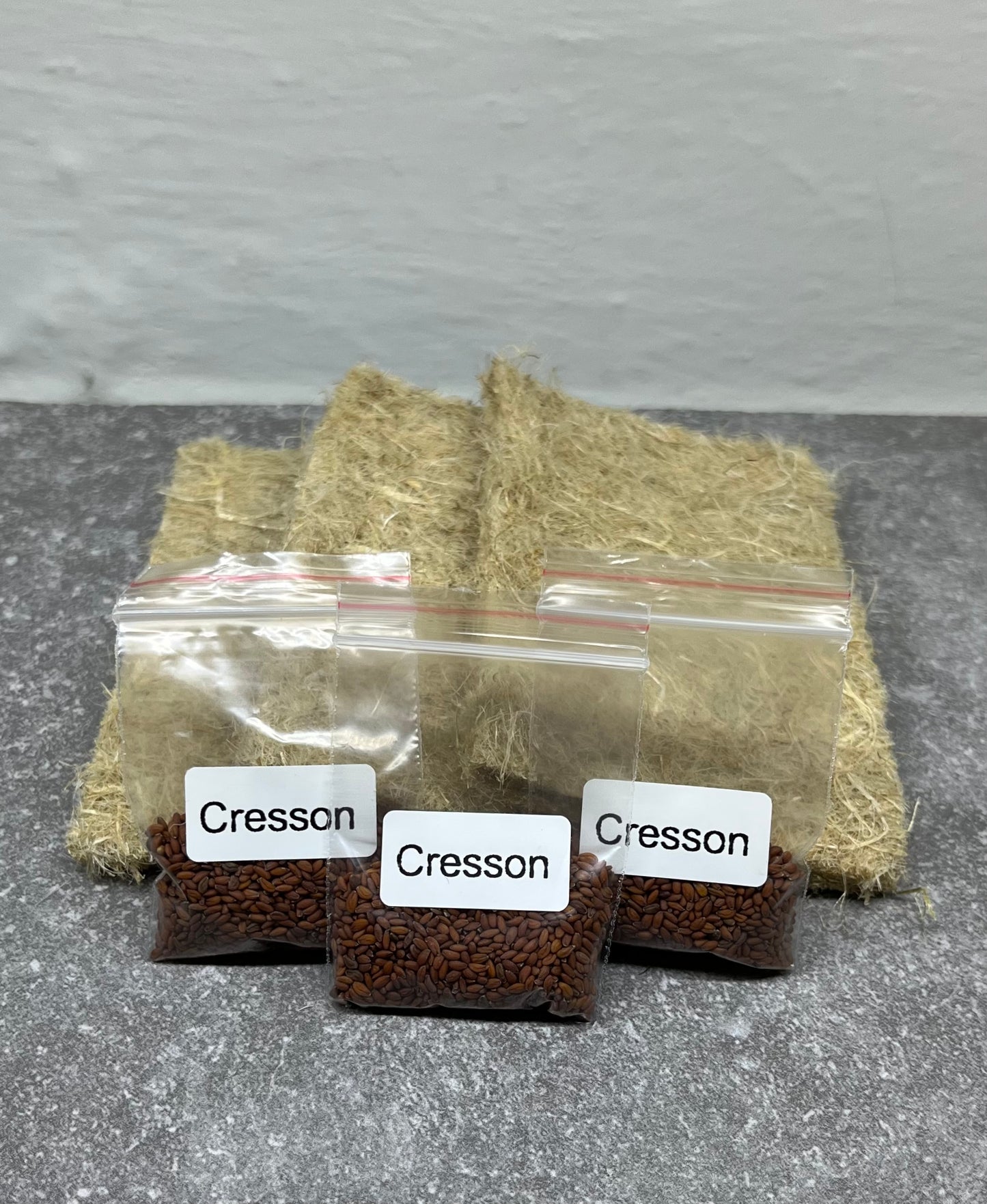 Recharge graines de micropousses de cresson + tapis de culture